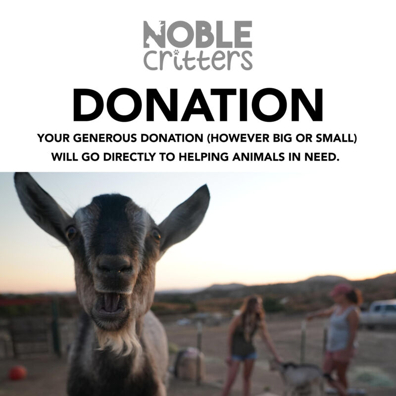 NOBLE CRITTERS DONATION - CLICK TO SELECT AMOUNT! Thumbnail